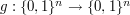 $ g: \{0,1\}^n \to \{0,1\}^n $